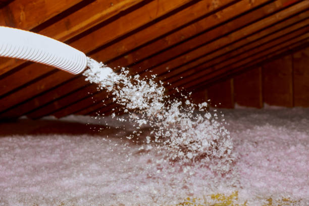 Best Residential Insulation in Prairie Grove, IL